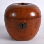 A GEORGE III FRUITWOOD TEA CADDY in the form of an apple. 4.5ins high.