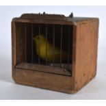 AN EARLY 20TH CENTURY CHINESE CARVED WOOD BIRD CAGE inset with a canary. 4Ins wide.