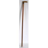 A LATE 19TH CENTURY CARVED HORN HANDLED WALKING CANE with gilt metal collar. 3Ft long.