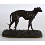 A 19TH CENTURY FRENCH BRONZE FIGURE OF A GREYHOUND by P J Mene, upon a naturalistic base. 5.25ins