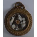 AN UNUSUAL MID 19TH CENTURY CARVED GILTWOOD DISPLAY CASE containing numerous shells. 7.25ins