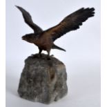 A 19TH CENTURY AUSTRIAN COLD PAINTED BRONZE MODEL OF A HAWK in the manner of Bergmann,