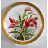 A FINE MINTON PORCELAIN CABINET PLATE painted with 'Disa Gandaflora' by Mussill. 9.25ins diameter.