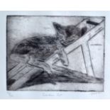 DAN B (ENGLISH), Framed print, signed, "Garden Cat", no. 1/50. 4.25ins x 5.75ins.