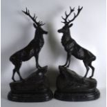 A LARGE PAIR OF MODERN BRONZE FIGURES OF STAGS modelled upon naturalistic bases. 2Ft 2ins high.