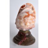 A LATE 19TH CENTURY CARVED CONTINENTAL SHELL upon a stepped wooden base. 6.25ins high.