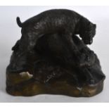 A 19TH CENTURY FRENCH BRONZE FIGURE OF TWO HOUNDS modelled upon a naturalistic base. 5.25ins wide.