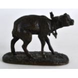 A RARE 19TH CENTURY FRENCH BRONZE FIGURE OF A CALF by P J Mene, modelled upon an oval base. 3.