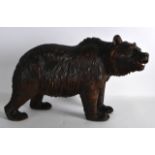 A GOOD LARGE LATE 19TH CENTURY BAVARIAN BLACK FOREST WOOD BEAR modelled in a roaming stance with