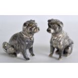 A PAIR OF NOVELTY SILVER DOG CONDIMENTS.