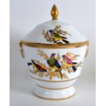 A 19TH CENTURY PARIS PORCELAIN SUCRIER AND COVER painted with birds, probably by Boyer. 6.5ins