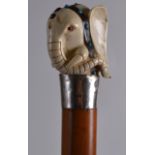 A LATE VICTORIAN CARVED ELEPHANT HEAD WALKING STICK with hallmarked silver rim, and jewelled