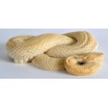 A VERY FINE 19TH CENTURY INDIAN CARVED IVORY FIGURE OF A COILED SNAKE wonderfully modelled in a