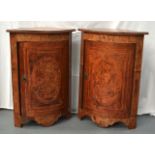 A GOOD PAIR OF 18TH CENTURY DUTCH WALNUT CUPBOARDS decorated with oval cartouches depicting
