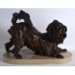 A GOOD 19TH CENTURY EUROPEAN PATINATED BRONZE modelled as a pekingese dog, naturalistically formed