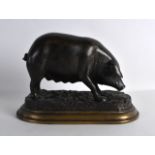 A MODERN BRONZE FIGURE OF A PIG after Jules Moigniez (1835-1894) depicting a truffle sow. 9ins wide