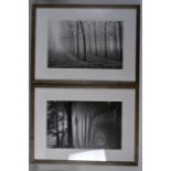 THREE FRAMED STYLISH PHOTOGRAPHIC PRINTS of various sizes. (3)