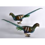 A GOOD PAIR OF EARLY 20TH CENTURY CHINESE CLOISONNE ENAMEL BIRDS OF PARASIDE each modelled in