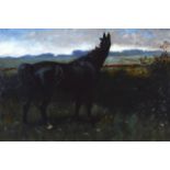 BRITISH SCHOOL (19th century), Unframed Oil on Canvas, A black horse in a landscape. 10.5ins x 1ft