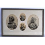 SCOTTISH SCHOOL (20th Century) , Framed Drawing, An Intoxicated West Highland Terrier, together with