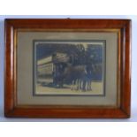 AN EARLY FRAMED PHOTOGRAPH, depicting a horse drawn tram. 6ins x 8ins.