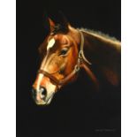 John Lewis Fitzgerald (20th Century) British, Oil on board, 'Portrait of a mare'. 1ft 4ins x 1ft