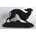 AN EARLY 20TH CENTURY PATINATED METAL FIGURE OF A HOUND modelled after P J Mene. 10Ins wide.