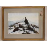 BERRESFORD HILL (Contemporary), Winter Grouse, watercolour and pencil heightened with white,