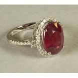 A RUBY AND DIAMOND CLUSTER RING, the oval cut ruby of approximately 6.80cts, claw set to a border of