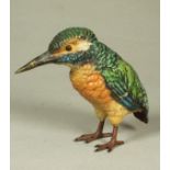 AN AUSTRIAN COLD PAINTED BRONZE KINGFISHER, c.1900, realistically modelled in an alert stance,