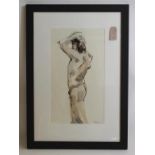 ANGELA KILENYI (Contemporary), "Male Nude Study", pen and wash, signed, 20" x 11 1/2", ebonised