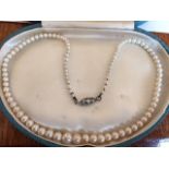 Cultured pearl necklace with 9ct white gold clasp