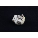 A carved Japanese ivory netsuke of a pig, character mark to base, 3.5cm high