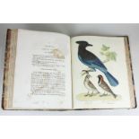 Charles Lucian Bonaparte, American Ornithology volume I, in marbled boards, (a/f) published by