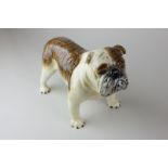 A Beswick porcelain bulldog, Bassford British Mascot (large), model 965, in brindle gloss