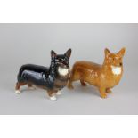 A Beswick large Corgi, Black Prince model 1299A, and a large Corgi model 1299B in golden brown