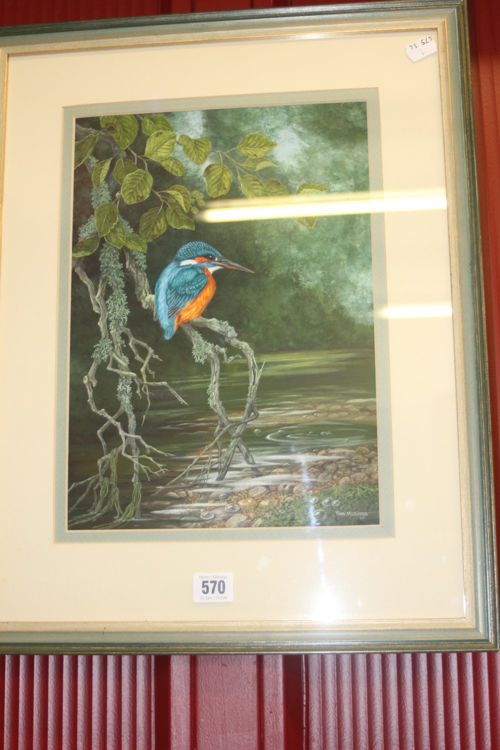 •Pam Mullings, watercolour, "Study of a Kingfisher" signed lower right. Framed and glazed 9½ins. x