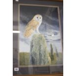 •Pam Mullings, watercolour "Study of a Barn Owl" signed lower right. Framed and glazed 14ins. x 20½