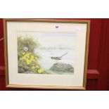 •Pam Mullings, watercolour "Study of a Yellow Tit" signed lower left. Framed and glazed 13ins. x