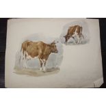 Thomas Baker of Leamington: A folio of watercolour, pen and ink studies depicting Cattle colour wash