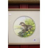 •Pam Mullings watercolour "Study of an Otter", signed lower right. 9¼ins. diameter. NB This lot is