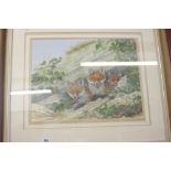 •Pam Mullings, watercolour "Study of Foxes" signed lower right. Framed and glazed 18ins. x 14¼ins.
