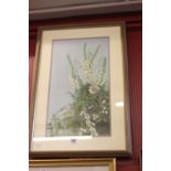 Pam Mullings: Watercolour "Blue Tits on Bramble and Foxgloves", signed lower right, framed and