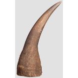 Rhinozeroshorn, Somalia, 20. Jhdt. Kapitales, gleichmäßig gewachsenes Horn eines Nashorns.