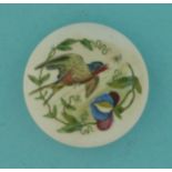 The Swallow (297) small pot lid, pot lids, potlid, potlids, prattware Illustrated * Ex Mortimer