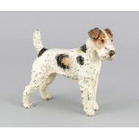 Wiener Bronze um 1900, große Figur eines Fox Terriers, polychrom bemalte, massive Bronze,ber. 15 x