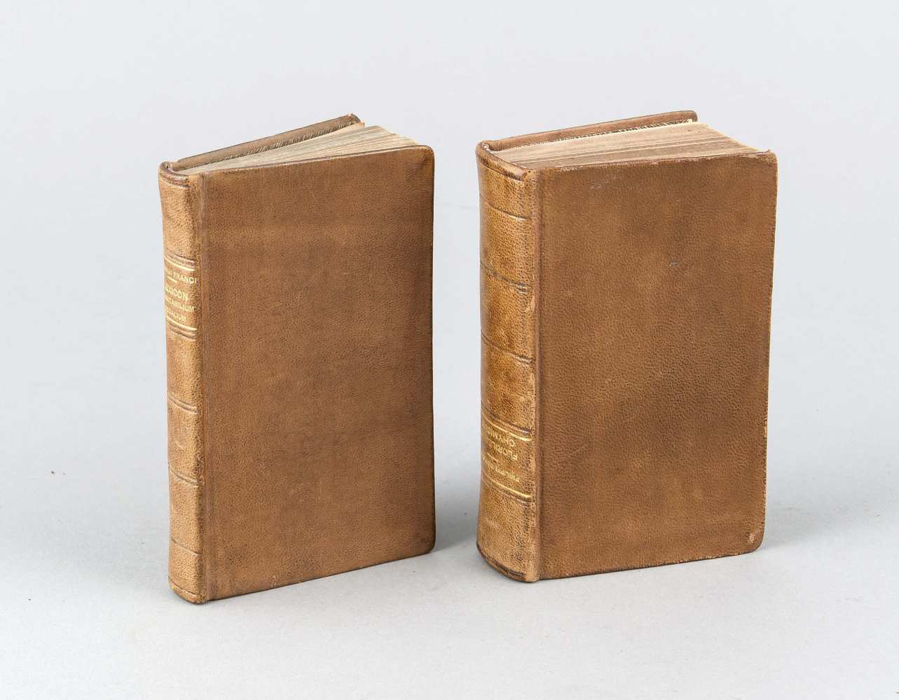 Zwei Schriften zur Pharmazie, Franck von Franckenau, Georg. Lexicon vegetabilium usualium.Straßburg,