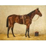 Emil Volkers (1831-1905), Düsseldorfer Pferdemaler, Bildnis eines Rennpferdes im Stall, Öl/Lwd.,