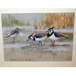 WATERCOLOUR "REDSHANK AND TWO LAPWINGS" BEARING SIGNATURE ROLAND GREEN  18 X 25CM (AR)