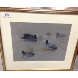 WATERCOLOUR, COOT, BEARING SIGNATURE ROLAND GREEN , 22.